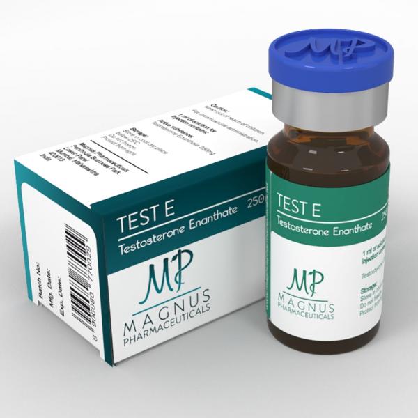 TEST E